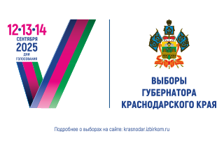 Выборы губернатора